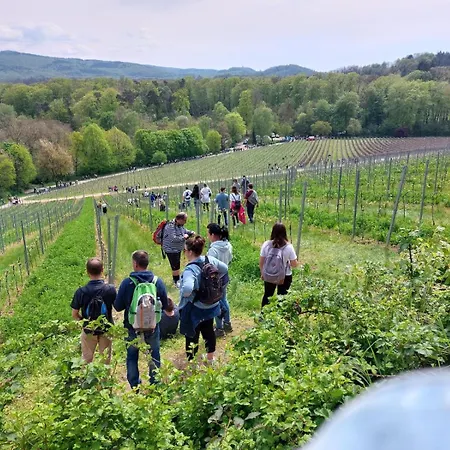 Appartement Design-wohnungen By Ulrike Horster