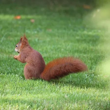 Design-wohnungen By Ulrike Horster