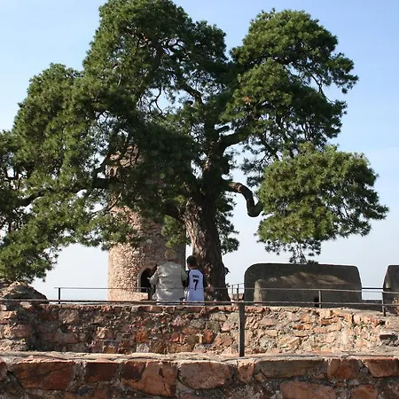 Design-wohnungen By Ulrike Horster Appartement