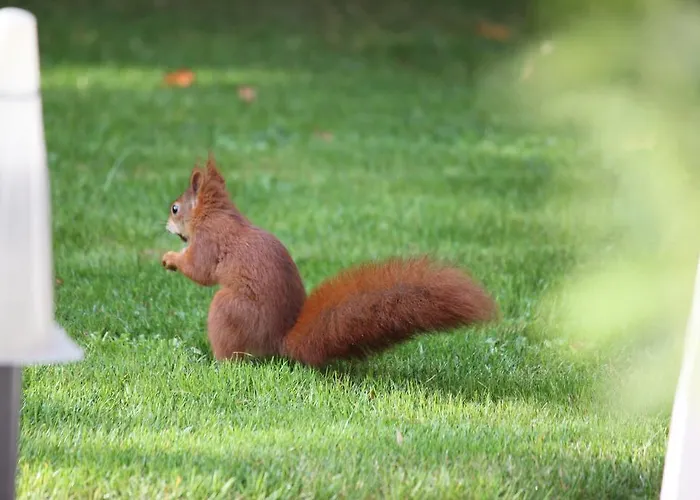 Design-wohnungen By Ulrike Horster