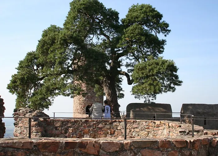 Design-wohnungen By Ulrike Horster Apartman